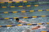 Conference Meet 031