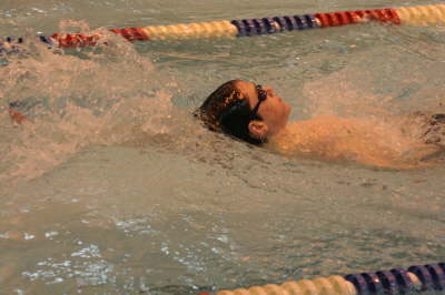 Dewitt 016