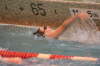 Dewitt 019
