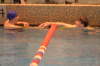 Dewitt 087