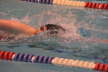 Grand Ledge (102)