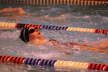Grand Ledge (92)