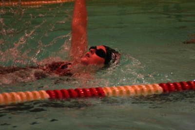 Lansing Schools (15)