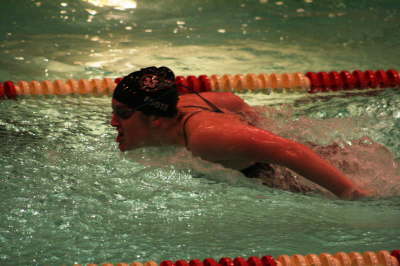 Lansing Schools (31)